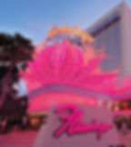 flamingo.jpg