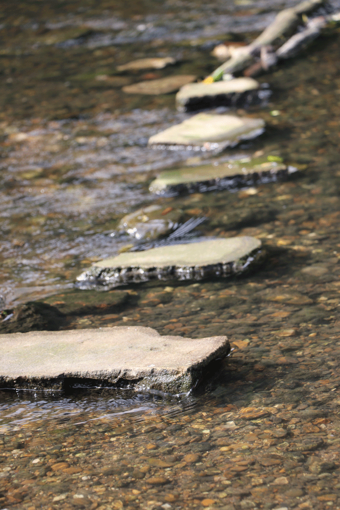 River Beane