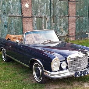 25000 euro Beloning uitgeloofd.