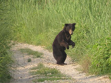 WhatsApp Image 2021-12-18 at 15.03.36.jpeg