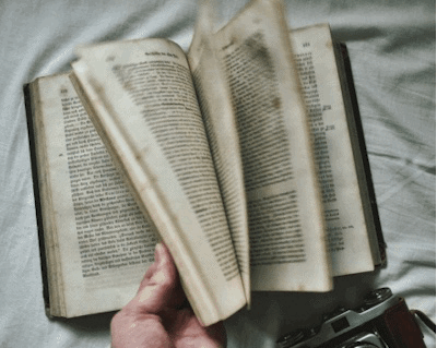 6e3cff477d72ac8e16ec70b1ddf844f7.gif