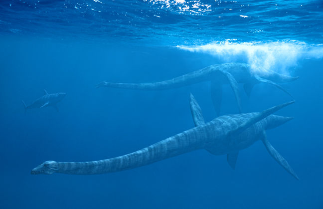 elasmosaurus.jpg