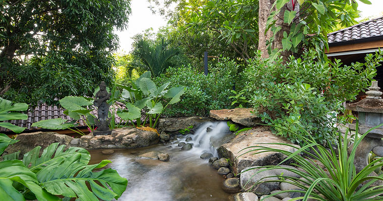 Bodhi_LOWRes_057 (1).jpg