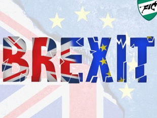 Brexit: The Journey In and Out