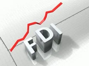 The Walmart-Flipkart Merger