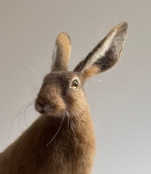 harehead2.jpg