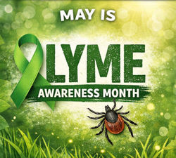 Lyme awareness month