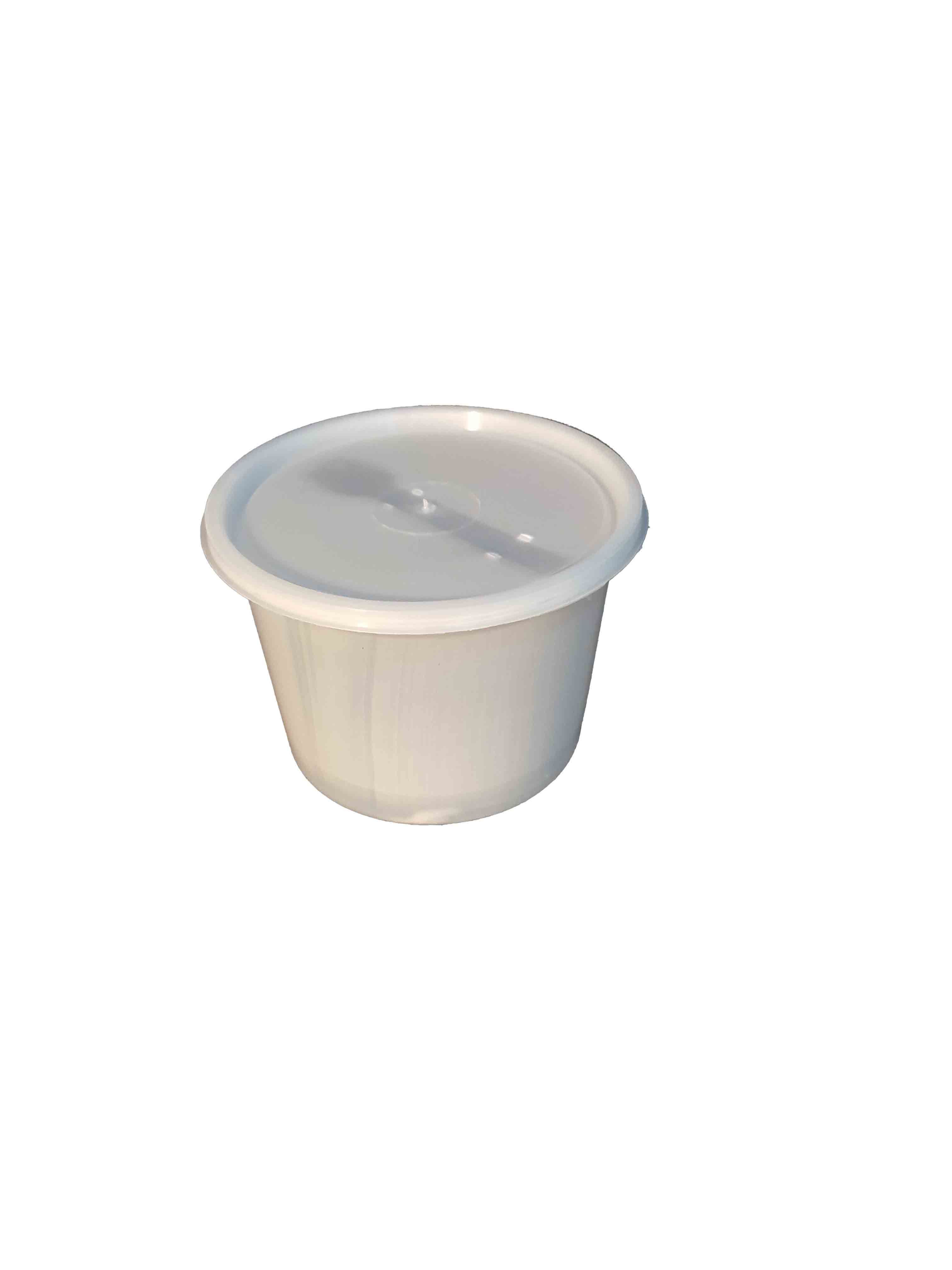 500 ml Ice Cream Tub with lid and spoon (10 pack)