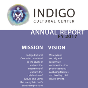 2017 Annual Report + A Message From Our Executive Director