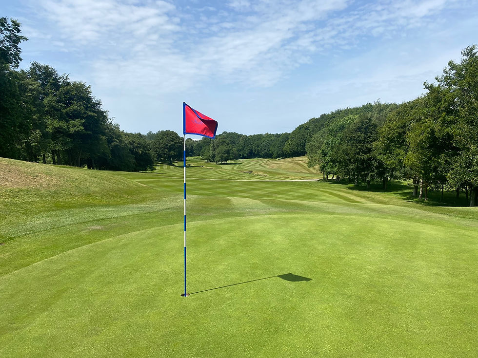 16th green(1).JPG