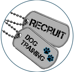 Recruit Dog Training logo