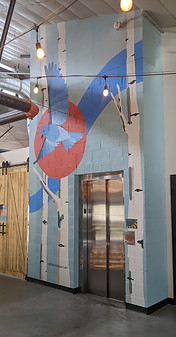 PXL_20220726_233957224.jpg