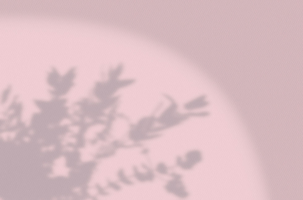 Flower Shadow