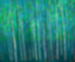 Green Forest 46X38