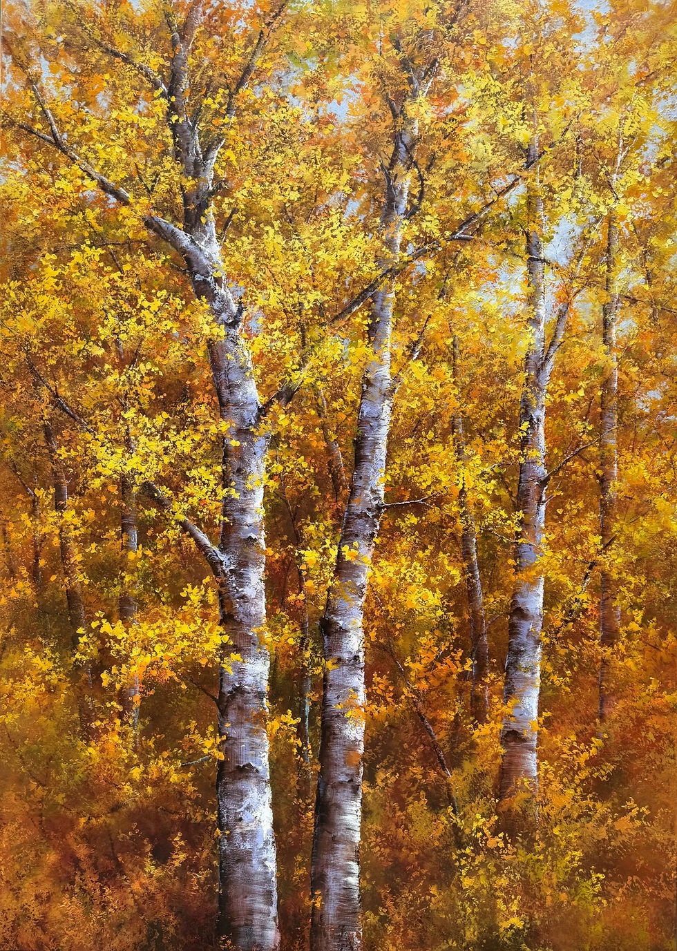 Golden Heights 62x86