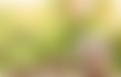 MI FAMILIA ME ENSEÑO DEL DINERO…
