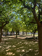 IMG_3183.jpeg