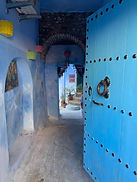 IMG_2175.jpeg