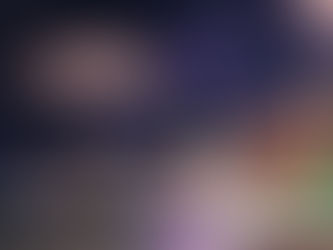 City of Chicago Zoning Map