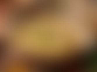           Khandvi "Cannelloni" Gratin