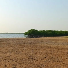 le-kinkeliba-lodge-hotel-campement-mar-lodj-sine-saloum-senegal (19).jpg