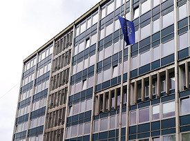 IMG_20200930_133552 (1).jpg