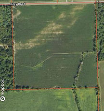 40 acres caro tavis.jpg