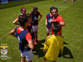 PEDAGOGIA DO DESPORTO - UMA FERRAMENTA FUNDAMENTAL NA OTIMIZAÇÃO DO PROCESSO DO TREINO JUVENIL