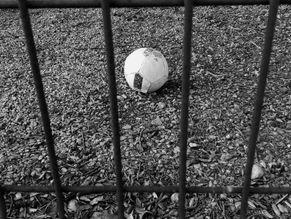 REGRESSO AOS TREINOS APÓS MESES PARADOS. O QUE TREINAR?