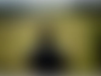 TIPOS DE OBSERVAÇÃO - QUAL A TUA FAVORITA?