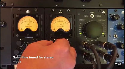 IGS-Audio-Bison-500.jp2