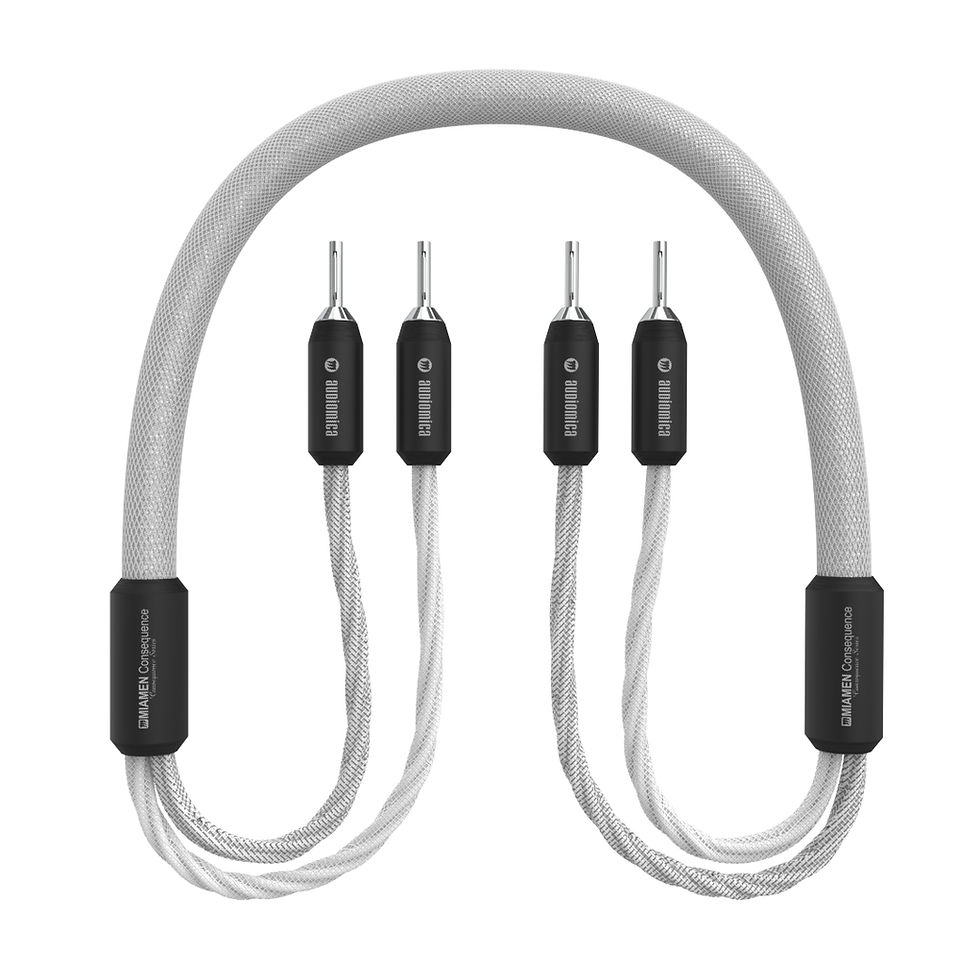Miniature : Audiomica Laboratory - Miamen Consequence Spade/Bananas Speaker Cable