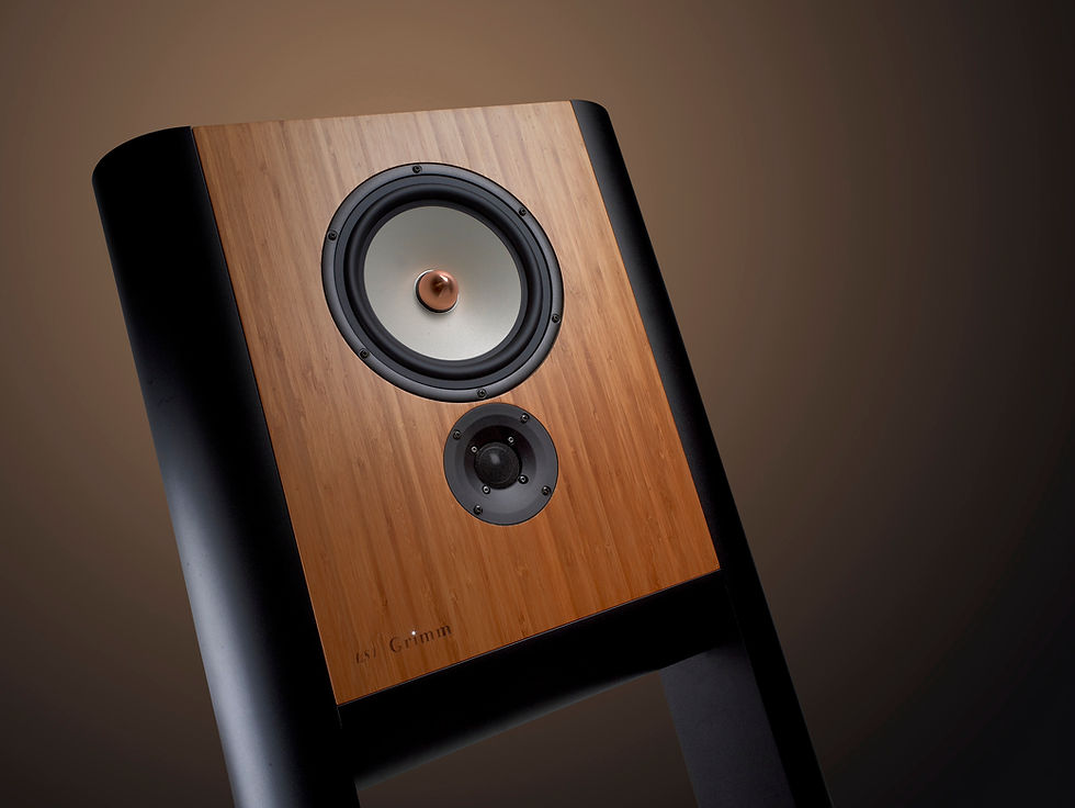 Miniature : Grimm Audio LS1v2 active 2-way speaker – Highend HiFi at Falkenstein ProAudio Bielefeld.