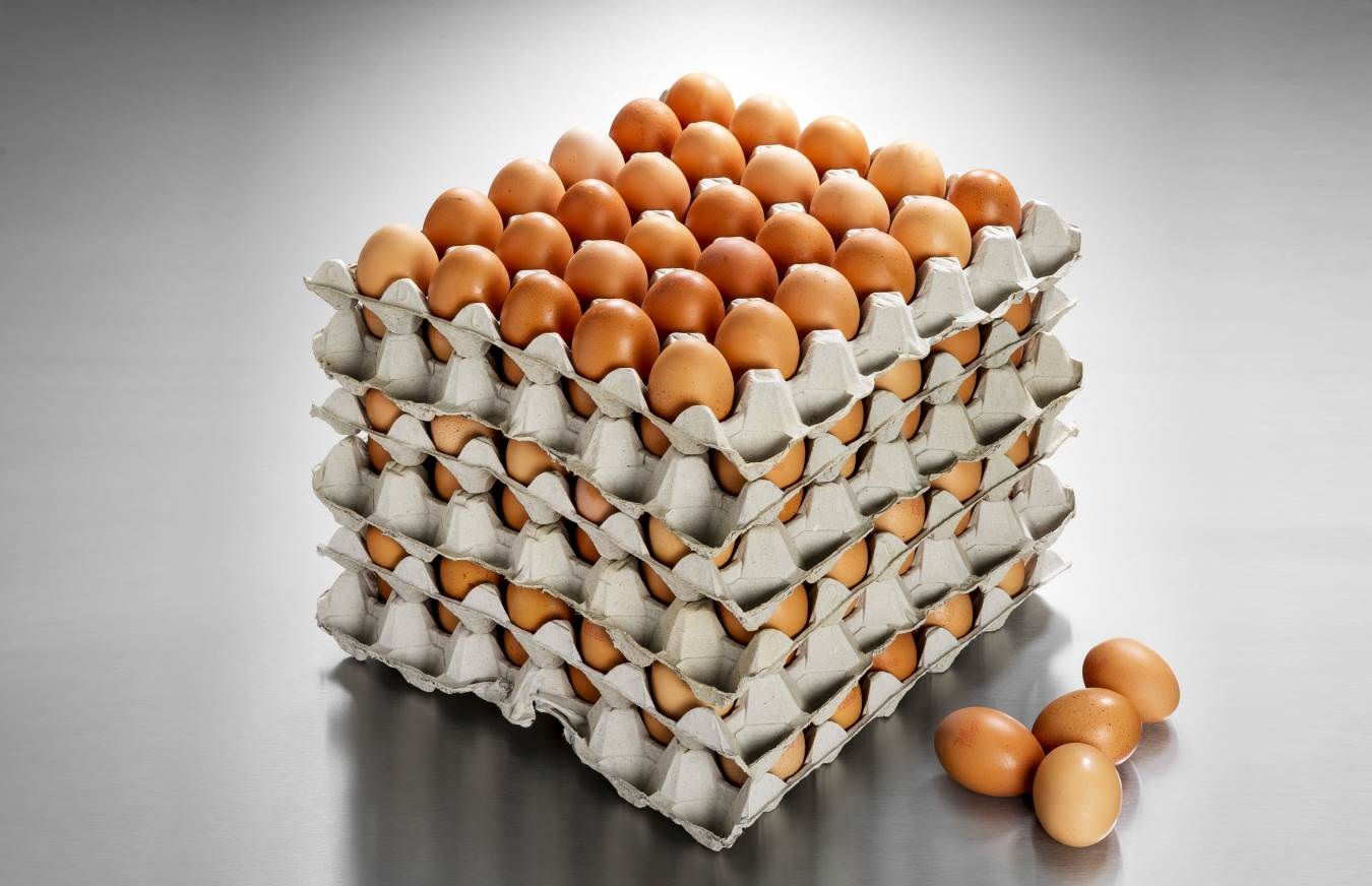 EGGS (LARGE) 30 DOZENS
