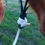 Thumbnail: 22 Foot Tie on Leadrope - 14mm -White