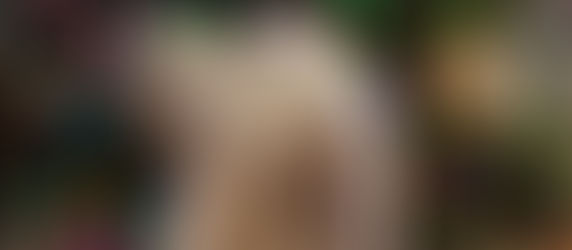 Foods You Shouldn't Give Your Pets This Christmas