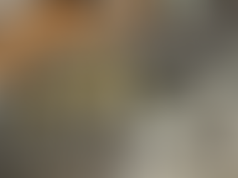 【コインリングの基礎知識📚✨】