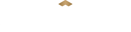 Logo blue search & selection
