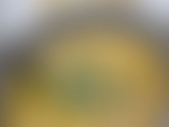 Creamy White Chicken Chili 