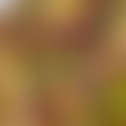 Cheesy Potato & Broccoli Casserole