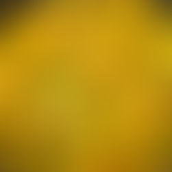 Curry Cabbage & Chicken Bowls