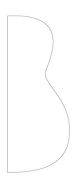 SS template outline fs.jpg