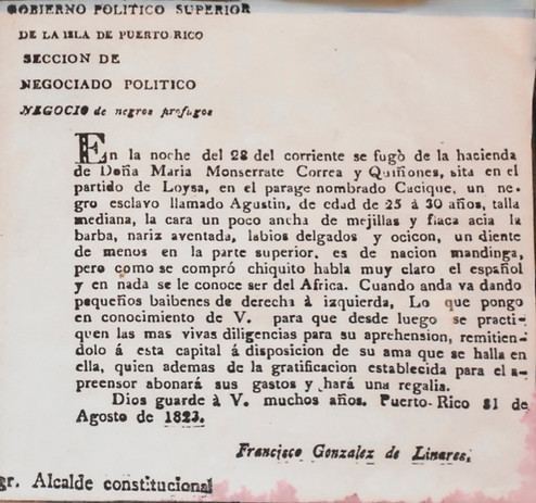 Negro Profugo.jpg