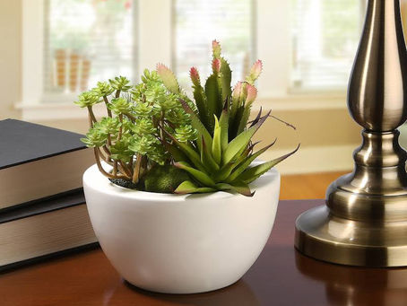 How To Style Faux Plants And Succulents 🏡