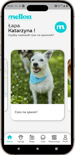 f3ec02fd1957f139 (24).png