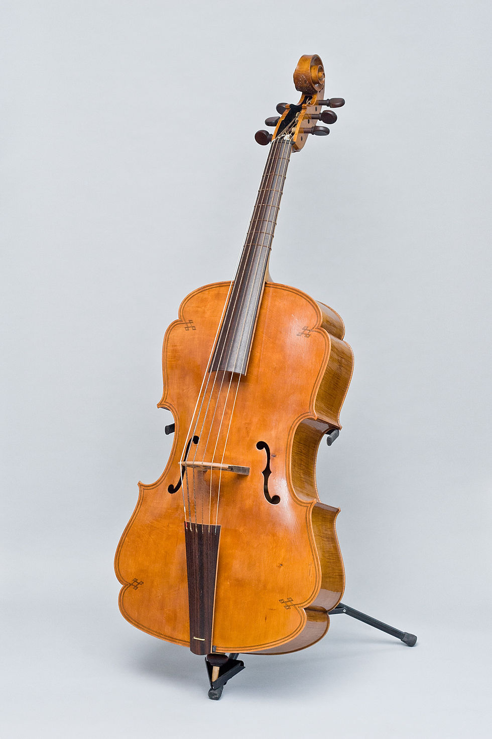 G-Violone – Front