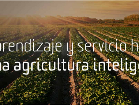 Berni Labs, empresa que se dedica a la formulación de productos naturales para el control de plagas