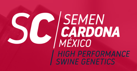 SEMENCARDONA