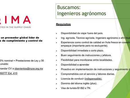 Vacante: Ingenieros Agrónomos Normalización y Certificación NYCE