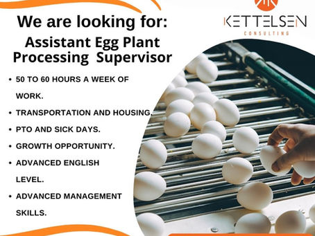 Assistant Egg Plant Processing Supervisor